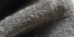 image-12-09-25-02-56-2